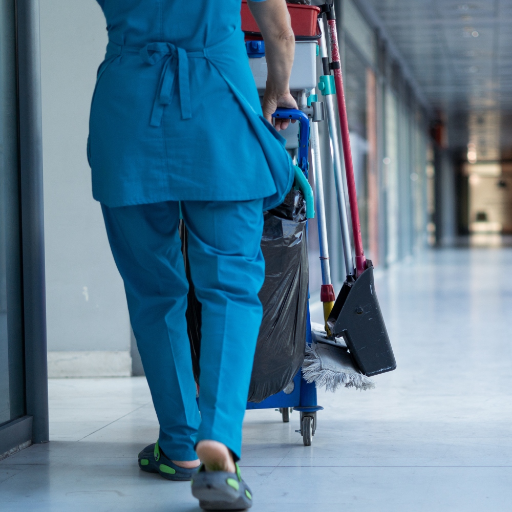 Cleaning professional at work